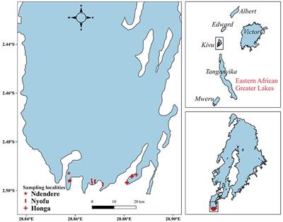 Frontiers | Environmental impacts of tilapia fish cage aquaculture on ...