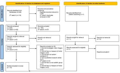 Frontiers  Lasting mesothalamic dopamine imbalance and altered