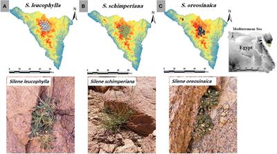 Frontiers | Population status, habitat preferences and predictive ...