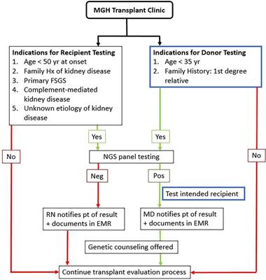 Frontiers in Transplantation | Articles