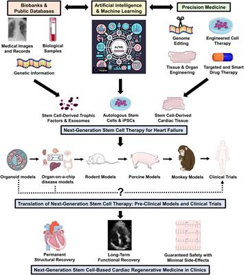 Frontiers | Stem cell therapy for heart failure in the clinics: new ...