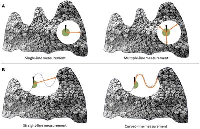 Frontiers | Measuring coral disease lesions: a comparison of methodologies