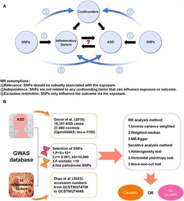 Frontiers | Interactions between circulating inflammatory factors and ...