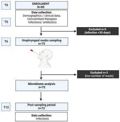 Frontiers | Oropharyngeal microbial ecosystem perturbations influence ...