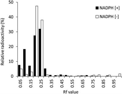 Development of radioiodine-labeled mequitazine for evaluation of hepatic CYP2D activity