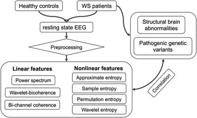 Interictal EEG features as computational biomarkers of West syndrome