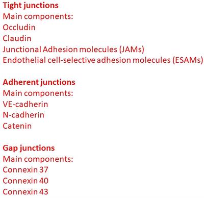 Frontiers in Oncology | Molecular and Cellular Oncology