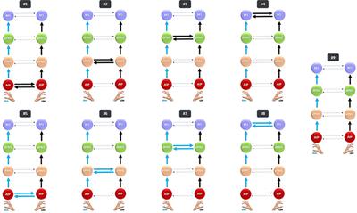 Your Left-Handed Brain · Frontiers for Young Minds