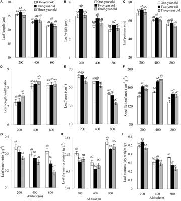 Frontiers  Allometric and Phylogenetic Aspects of Stapes