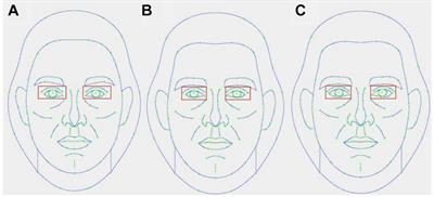 Frontiers | The Relative Contribution of Jawbone and Cheekbone ...