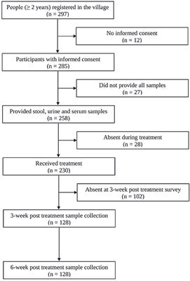 Frontiers Performance Of An Ultra Sensitive Assay Targeting The - frontiers performance of an ultra sensitive assay targeting the circulating anodic antigen caa for detection of schistosoma mansoni infection in a low