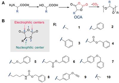 Frontiers Living Ring Opening Polymerization Of O - 