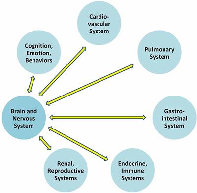 Frontiers A Copernican Approach To Brain Advancement The