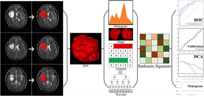 Frontiers  Intrafamilial variability in SLC6A1-related neurodevelopmental  disorders