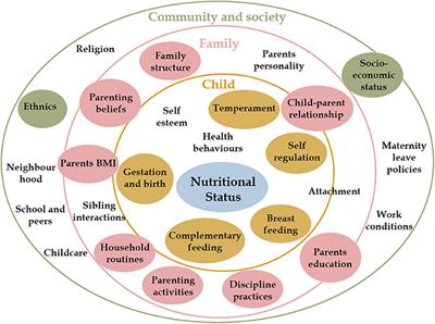 Child Parent Relationship List Of Frontiers Open Access Articles