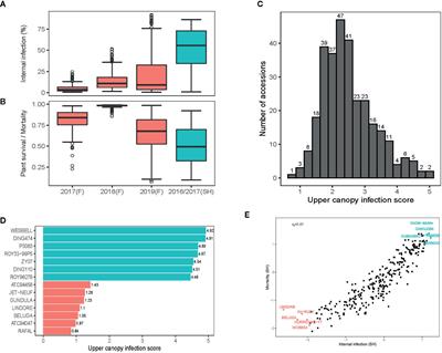 Frontiers Genome Wide Association Mapping Identifies Novel Loci For