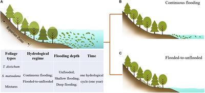 Frontiers  The challenge of developing ecohydrological metrics for  vegetation communities in calcareous fen wetland systems