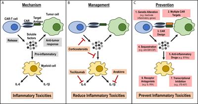 Car T Cell Therapy Kite