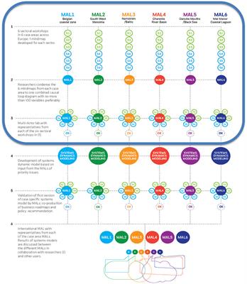 Frontiers | Understanding Stakeholder Synergies Through System Dynamics ...