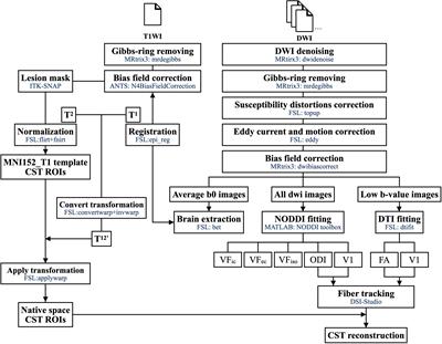 Frontiers  Age-Related Variations in Regional White Matter Volumetry and  Microstructure During the Post-adolescence Period: A Cross-Sectional Study  of a Cohort of 1,713 University Students