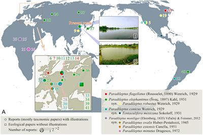 Frontiers  Piscine predation rates vary relative to habitat, but not  protected status, in an island chain with an established marine reserve