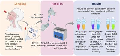 Frontiers | Optimization and Clinical Validation of Colorimetric ...