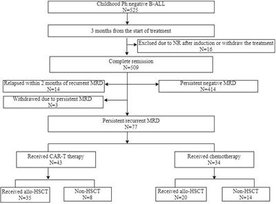 Frontiers  Pharmacogenetics of pediatric acute lymphoblastic leukemia in  Uruguay: adverse events related to induction phase drugs