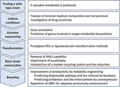 Frontiers | Metabolic Engineering Techniques to Increase the ...