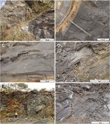 Frontiers | New Facies Model and Carbon Isotope Stratigraphy for an ...