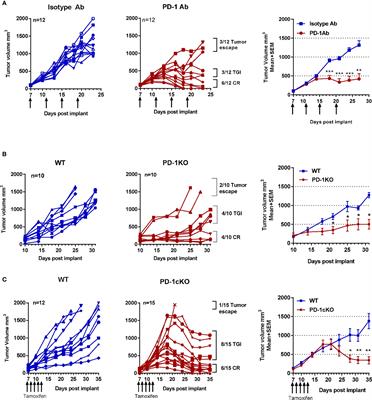 Frontiers | Conditional Deletion of Pdcd1 Identifies the Cell-Intrinsic ...