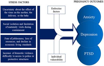 Becoming a mother - List of Frontiers' open access articles