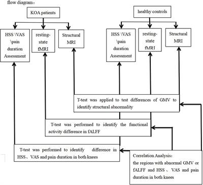 Frontiers  Exercise Intensity and Brain Plasticity: What's the Difference  of Brain Structural and Functional Plasticity Characteristics Between Elite  Aerobic and Anaerobic Athletes?