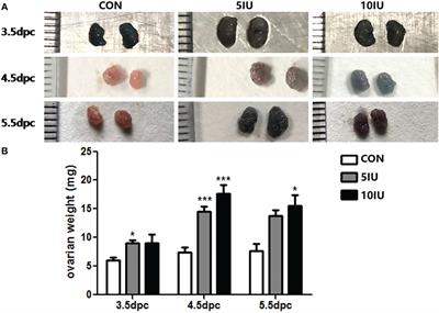 Frontiers  Prophylactic Effects of Ivermectin and Closantel Treatment in  the Control of Oestrus ovis Infestation in Sheep