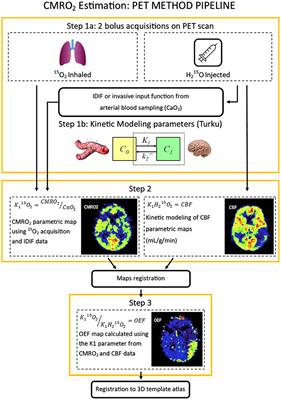 Frontiers  Hemodynamic and Metabolic Assessment of Neonates With