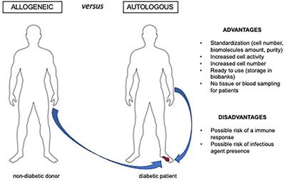 Innovative Cell and Platelet Rich Plasma Therapies for Diabetic Foot Ulcer Treatment: The Allogeneic Approach