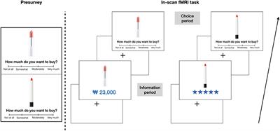 Frontiers  Exploring decision-making strategies in the Iowa