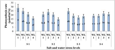 Frontiers | Exploring Suitability of Salsola imbricata (Fetid Saltwort ...