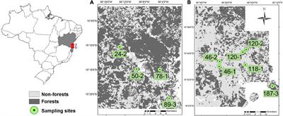 Frontiers  Common Patterns of Skull Bone Fusion and Their Potential to  Discriminate Different Ontogenetic Stages in Extant Birds