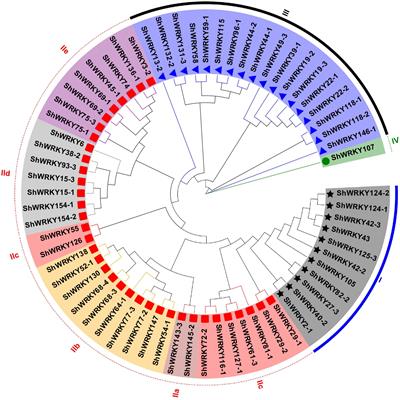 Frontiers  Identification of WRKY gene family members in amaranth based on  a transcriptome database and functional analysis of AtrWRKY42-2 in betalain  metabolism