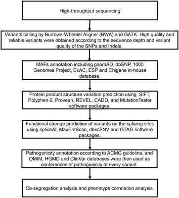 Frontiers  Lysosomal Diseases and Neuropsychiatry: Opportunities