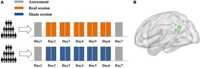 Frontiers  The efficacy of topical 0.1% mometasone furoate for