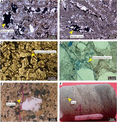 Frontiers in Earth Science  Sedimentology, Stratigraphy and Diagenesis