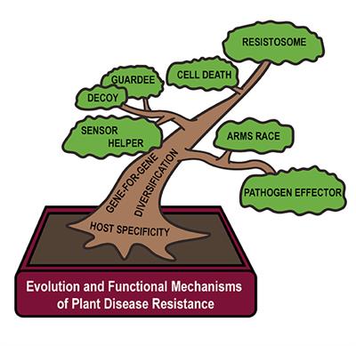 Research Topic Research topic image