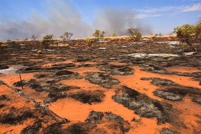 Fire and despair in the desert