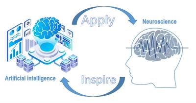 Closed Loop Iterations Between Neuroscience and Artificial