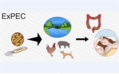 pathogenic animals