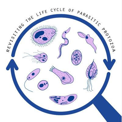 disease causing protozoa