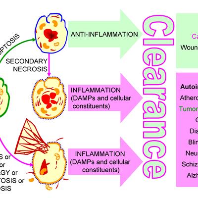 Research Topic Research topic image