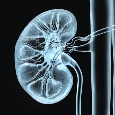 research topics for nephrology