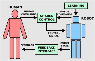 Humanoid control 2024